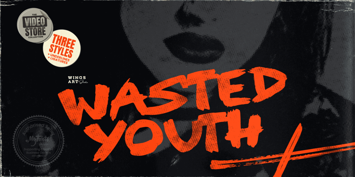 Wasted Youth Font Poster 1