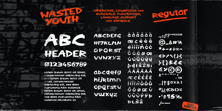 Wasted Youth Font Poster 9