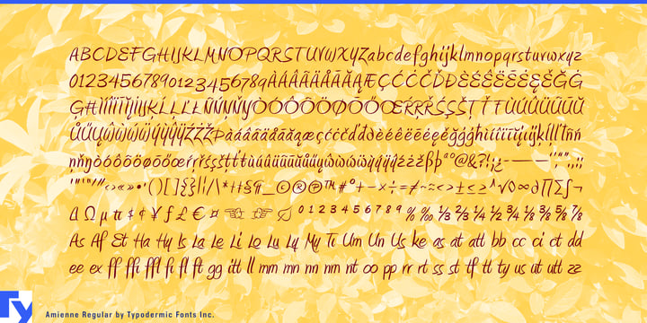 Amienne Font Poster 7