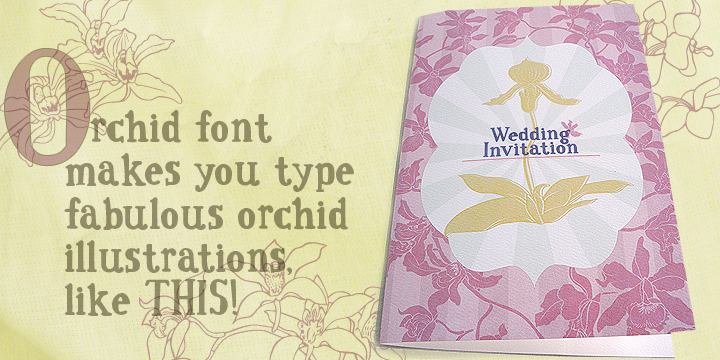 Orchids Font Poster 2