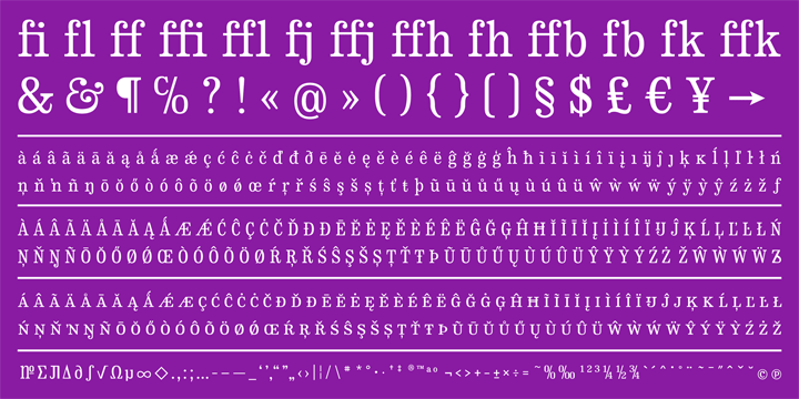 Ca Normal Serif Font Webfont Desktop Myfonts