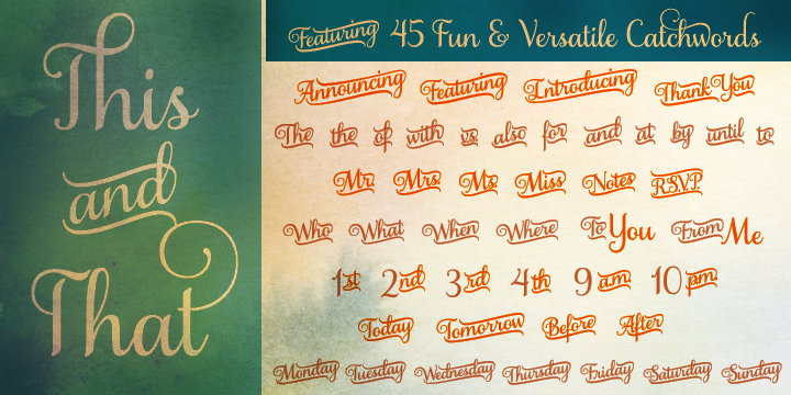 Samantha Font Poster 8