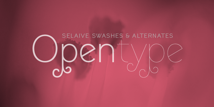 Selaive Font Poster 7