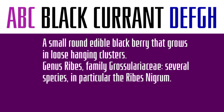 Black Currant Font Poster 2