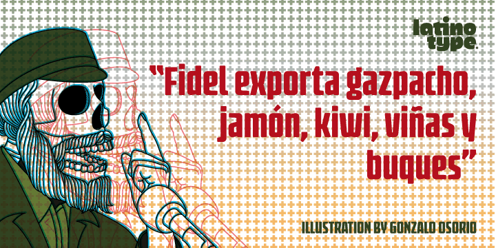 Fidel Font Poster 3