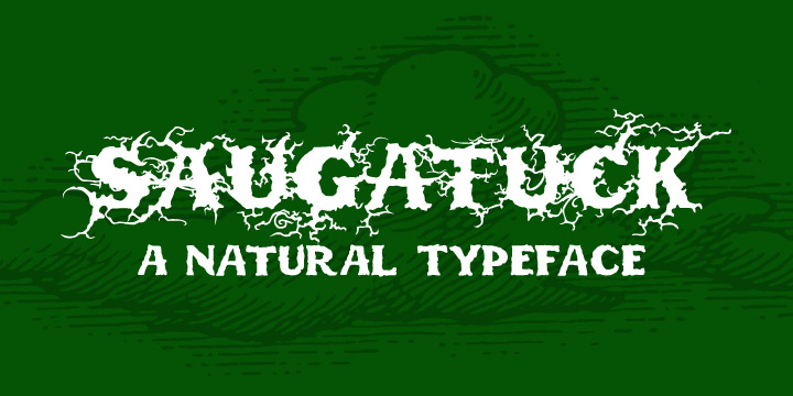 Image of Saugatuck Font