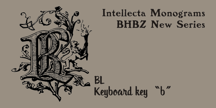 Intellecta Monograms Font Poster 37