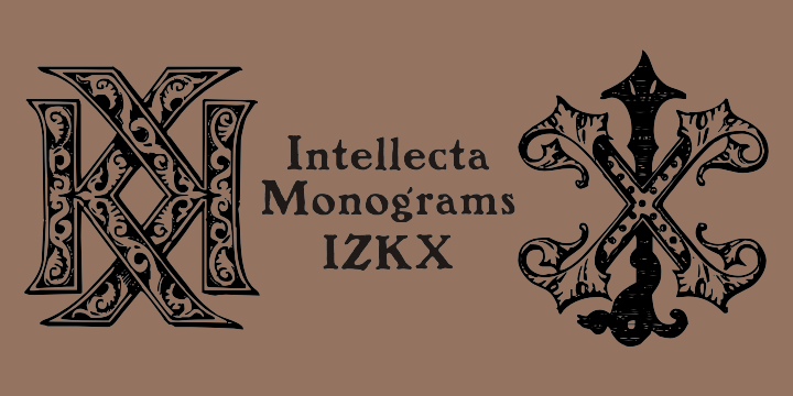 Intellecta Monograms Font Poster 25