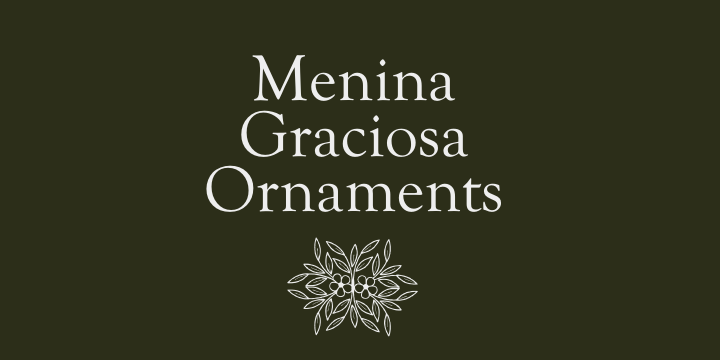 Menina Graciosa Ornaments Font Poster 3