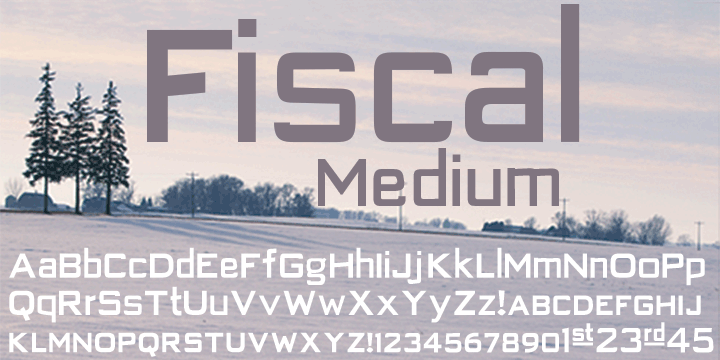 Fiscal Font Poster 1