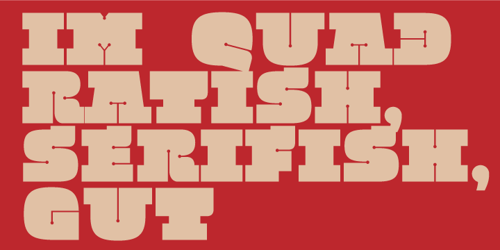 Quadratish Serif Font Poster 2
