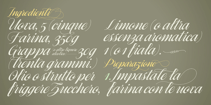 Ragazza Script Font Poster 15