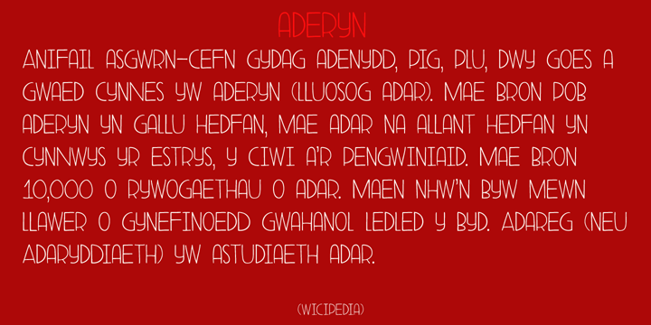 Aderyn Font Poster 4