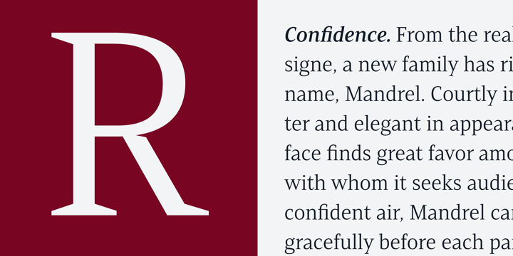 Mandrel Font Poster 12