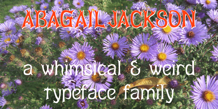 Abagail Jackson Font Poster 1