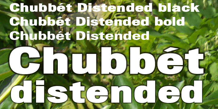 Chubbet Distended Font Poster 1