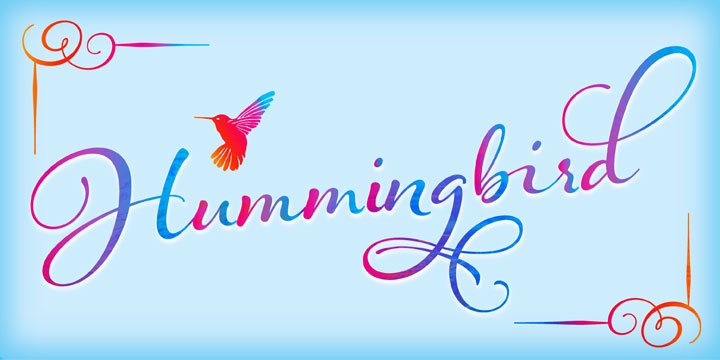 Hummingbird Font Poster 7