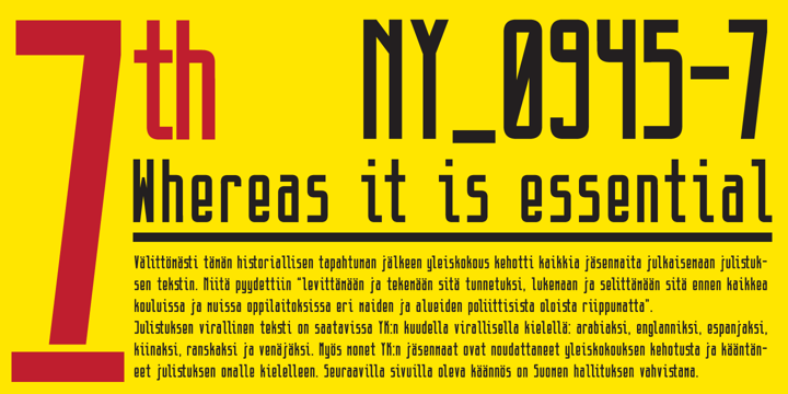 DLG Monospace Font Poster 4