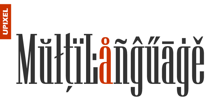 Manygo Serif Font Poster 3