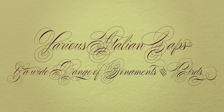 Poem Script Pro Font Poster 41
