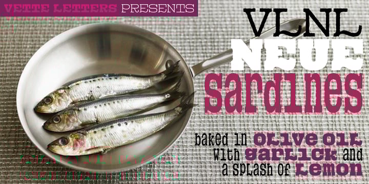 VLNL Neue Sardines Font Poster 5