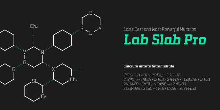 Lab Slab Pro Font Poster 3