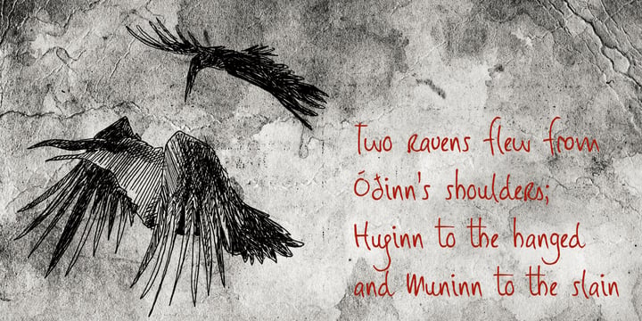 Huginn And Muninn Font Poster 1