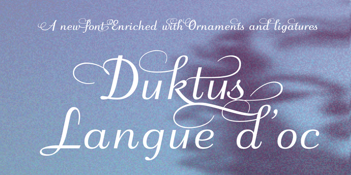 Duktus Font Poster 2