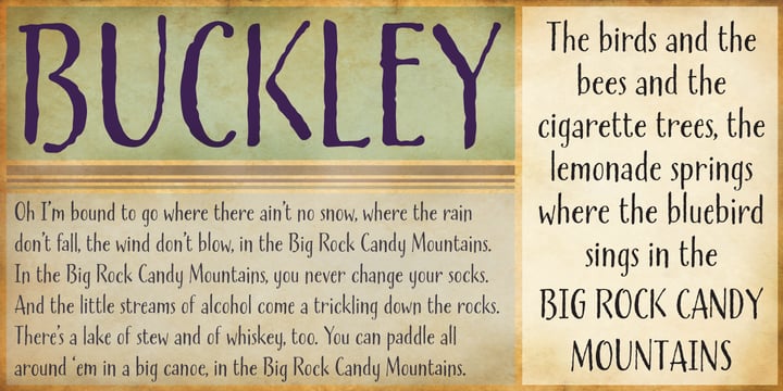 Buckley Font Poster 4