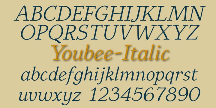 Youbee Font Poster 6