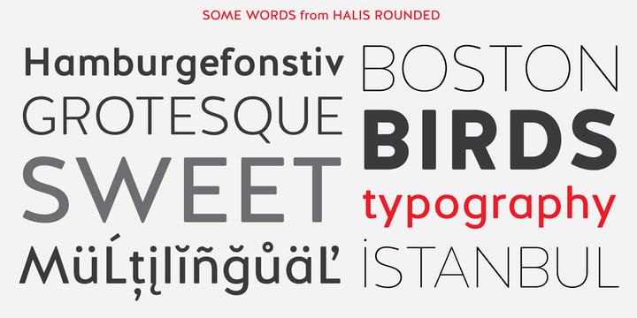 Halis Rounded Font Poster 3
