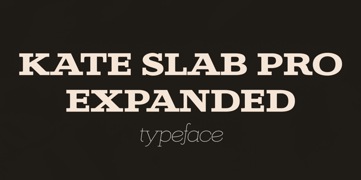 Kate Slab Pro Expanded Font Poster 1
