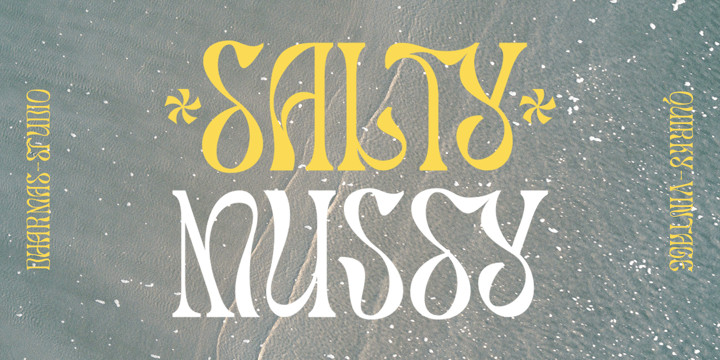 Salty Mussy Font Poster 1