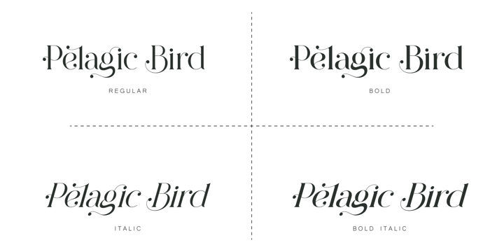 Pelagic Bird Font Poster 2