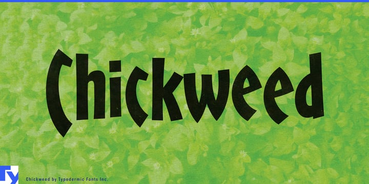 Chickweed Font Poster 1