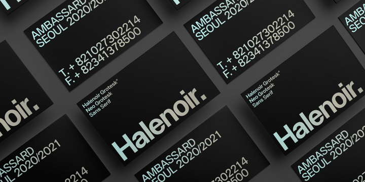 Halenoir Font Poster 11