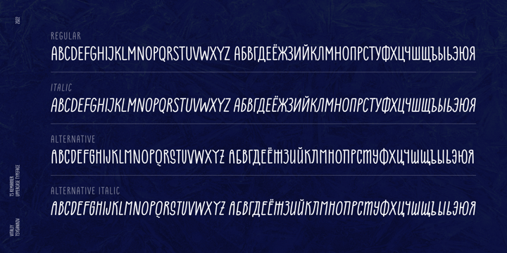 TS Remarker Font Poster 4