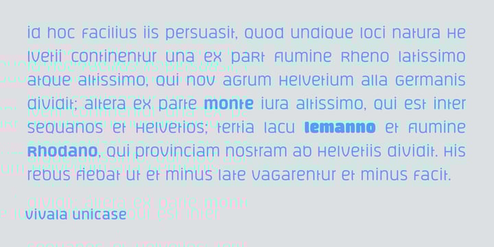 Vivala Unicase Font Poster 4