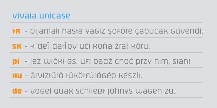 Vivala Unicase Font Poster 5