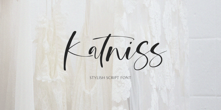 [mvlzrvibwa] Download Katniss Fonts Family From Epiclinez