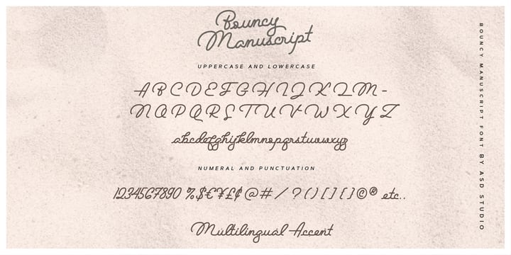 Bouncy Manuscript Font Poster 10