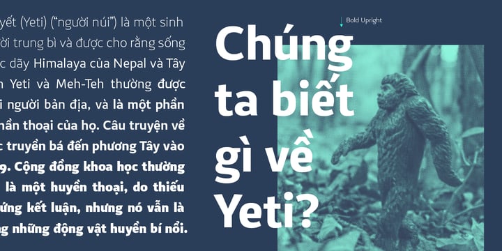 Vansans Font Webfont Desktop Myfonts