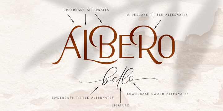 Alberobello Serif Font | Webfont & Desktop | MyFonts