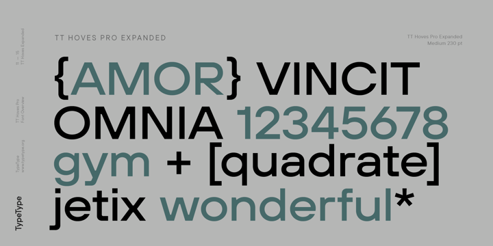 TT Hoves Pro Font Poster 11