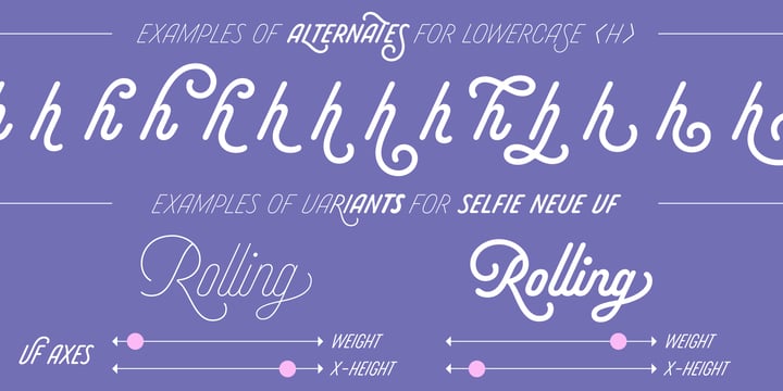 Selfie Neue Rounded Font Poster 14