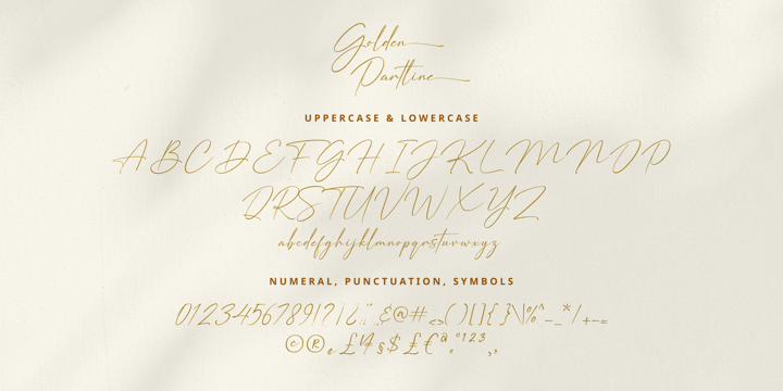 Golden Partline Font Poster 11