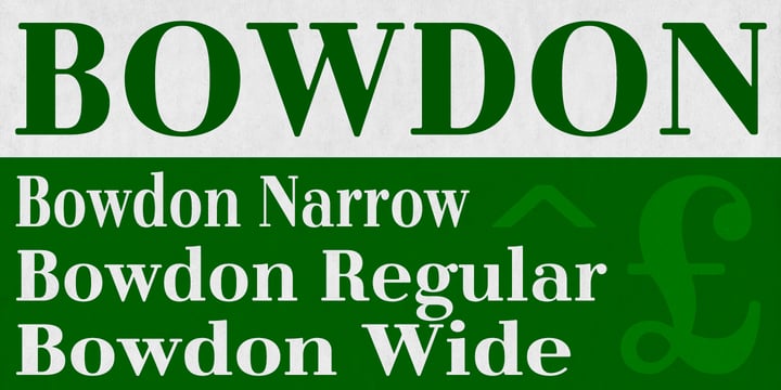 Bowdon Font Poster 3