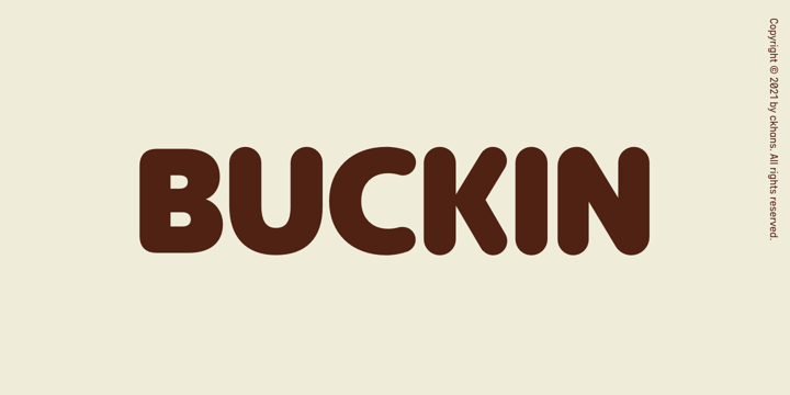 Buckin Font Poster 1
