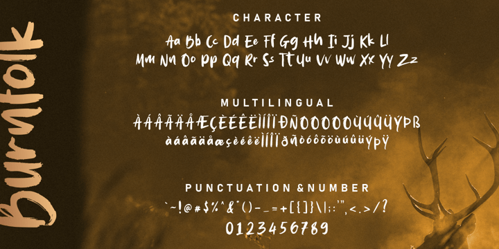 Burnfolk Font Webfont Desktop Myfonts