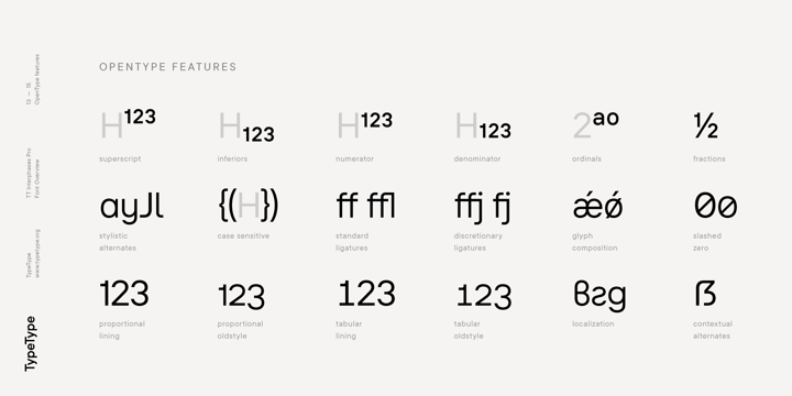 TT Interphases Pro Font Poster 13